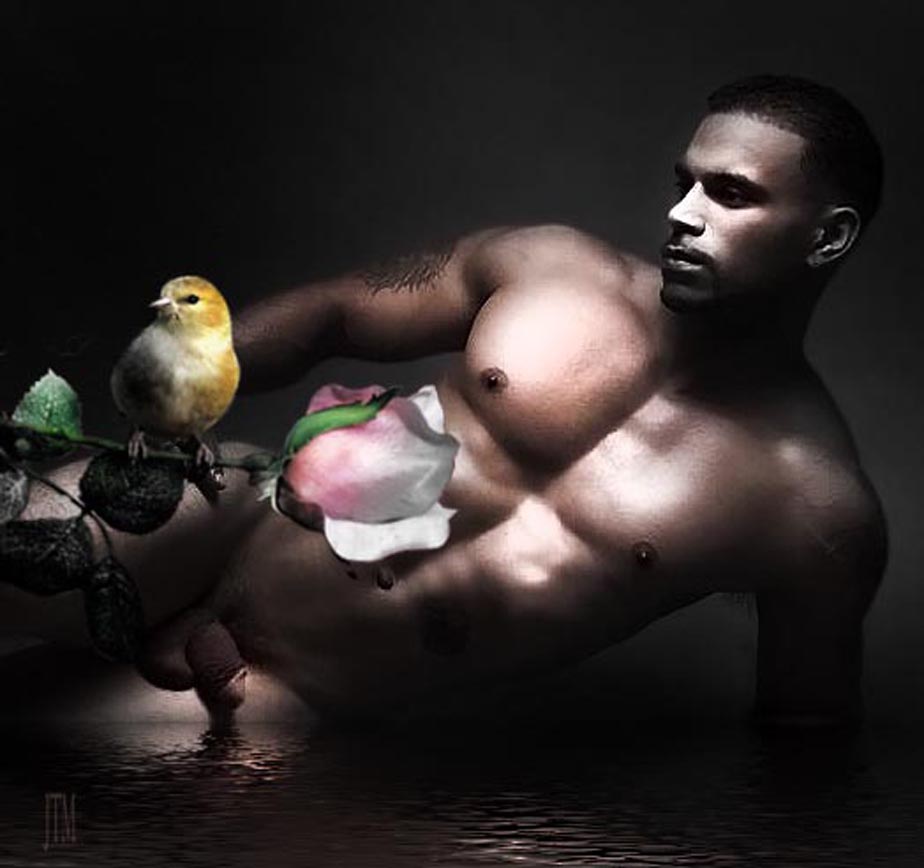 bird on a rose